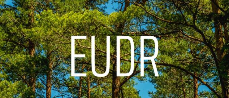 У регламенті EUDR Україна має бути у списку країн із нульовими ризиками