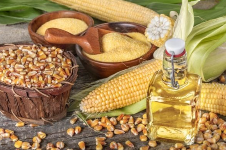Прогнози врожаю кукурудзи в Бразилії продовжують зростати завдяки сприятливій погоді