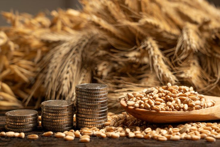 Мінімальні ціни експорту української агропродукції встановлено на червень