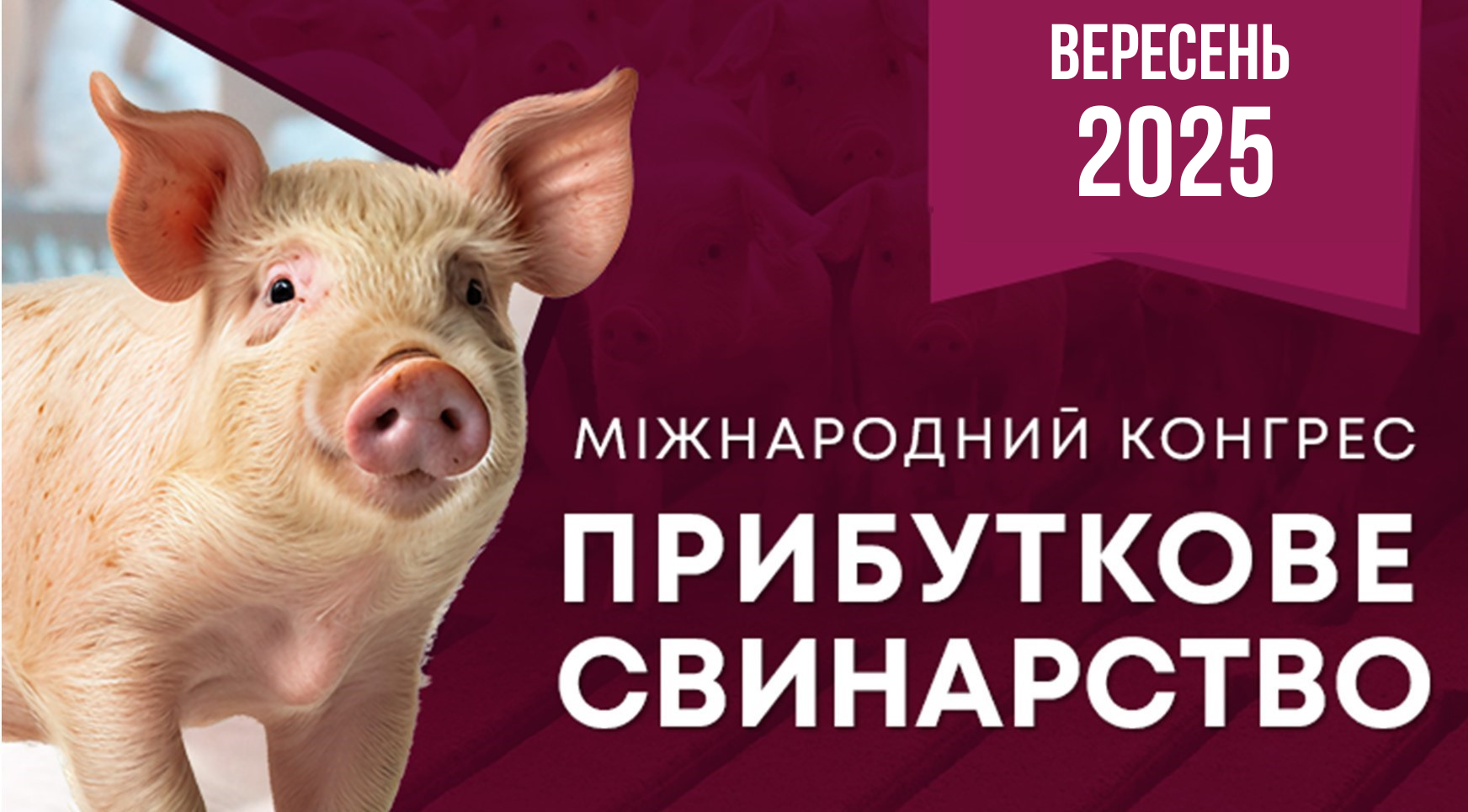 Міжнародний конгрес «Прибуткове свинарство»: стратегічні рішення, ветеринарні інновації та нові горизонти для галузі