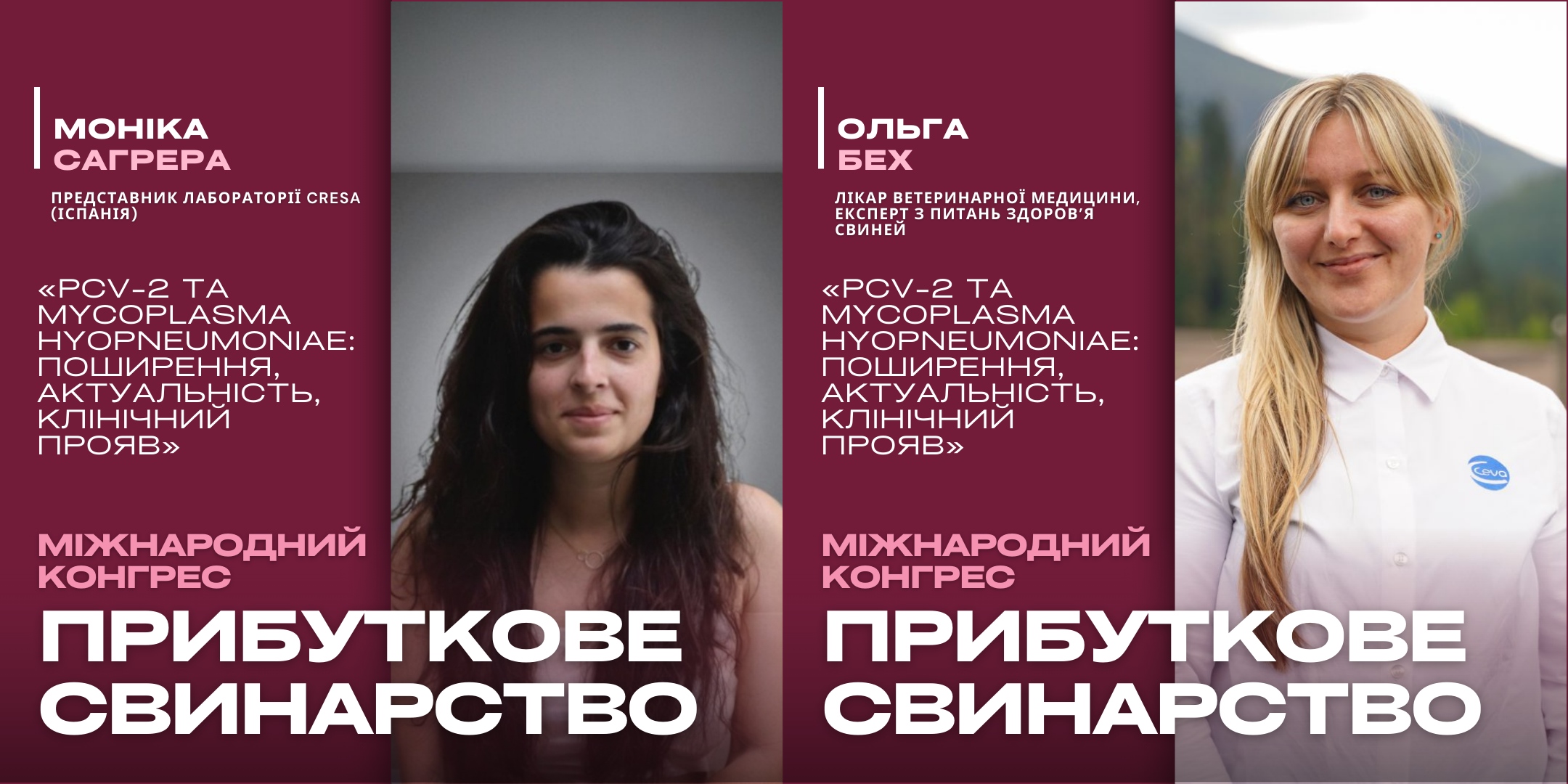 Приховані загрози: як PCV2d і Mycoplasma впливають на ефективність виробництва