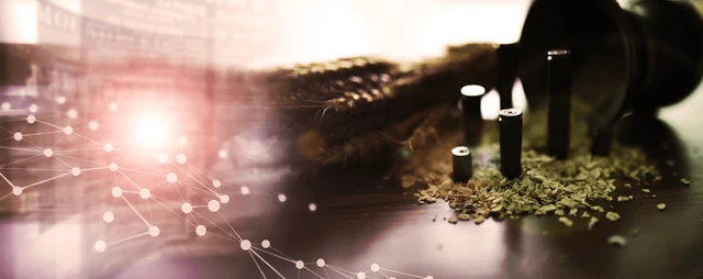 Ставки фрахту на костери продовжують зростати, на великотоннажний флот –переважно стабільні